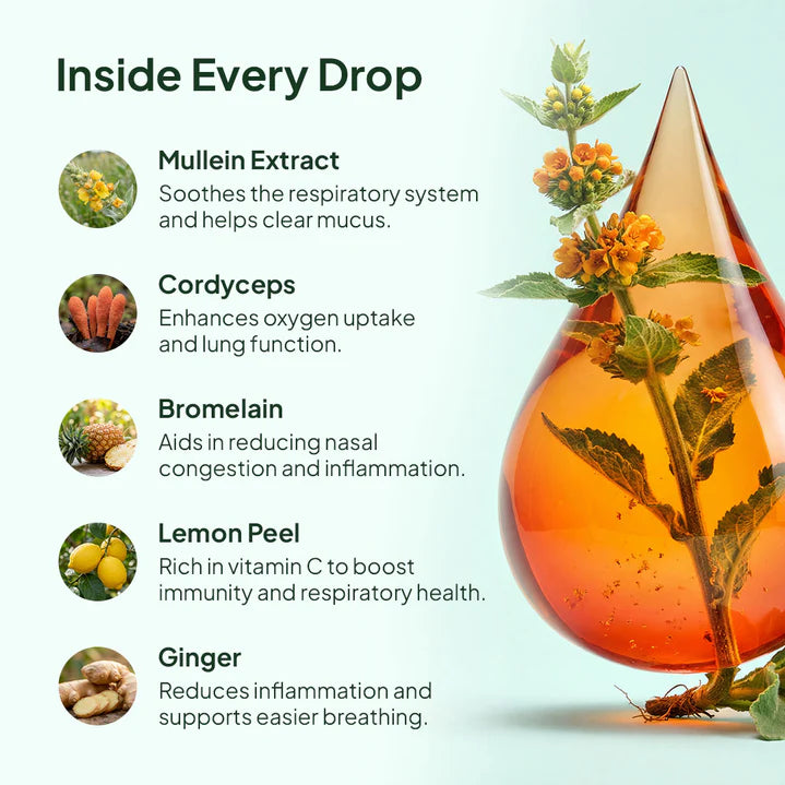 Stepply Mullein Drops